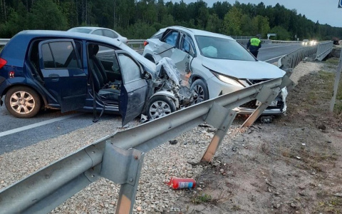 Следственный комитет начал доследственную проверку по факту гибели девочки в ДТП