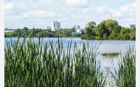 «Хоть вонять перестанет»: в Марий Эл расчистят Малую Кокшагу