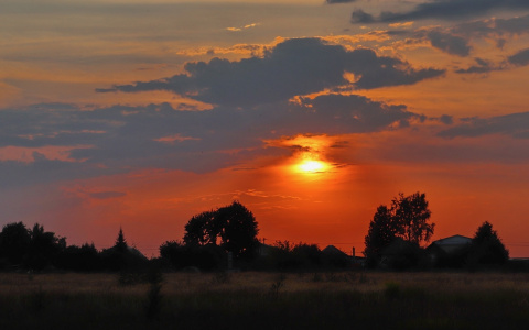«Солнечно и жарко»: прогноз погоды на вторник