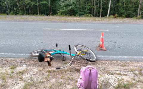 В Марий Эл неизвестный водитель сбил велосипедиста на трассе и уехал