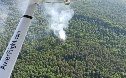 На территории Марий Эл всё чаще горят леса