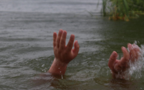 «Сын каждый день с ней общался»: в поселке Силикатный в Марий Эл из пруда достали тело женщины