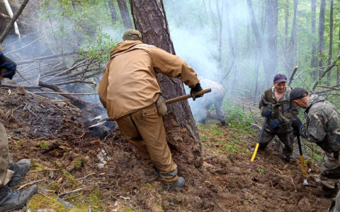 Лесники четвертые сутки борются с пожарами Марий Эл