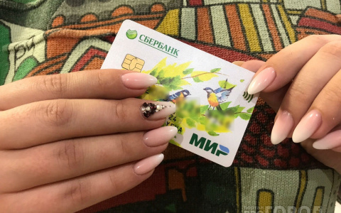 Жители Марий Эл смогут получать социальные выплаты только на карту «Мир»