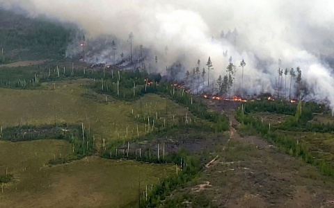 Тысяча человек участвуют в тушении пожара В Марий Эл