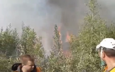 Завтра в Йошкар-Оле  будет набор добровольцев на тушение пожаров