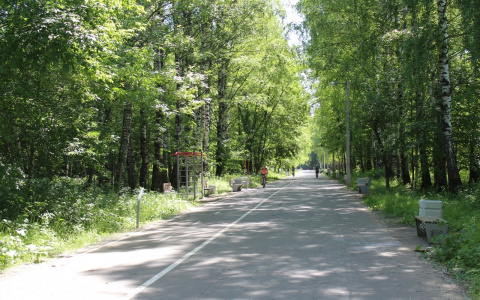 «Не придется гулять в темноте»: в Йошкар-Оле добавят света на аллею здоровья