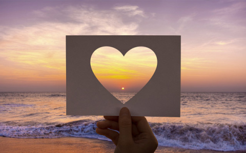 Узнайте, в чем ваше жизненное предназначение