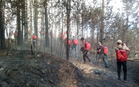 В Марий Эл тлеют 16 гектаров леса