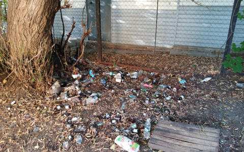 За Мини-рынком в Сомбатхее образовалась свалка