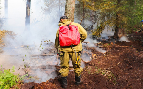 Помощь добровольцев в тушении пожаров пока что не потребуется