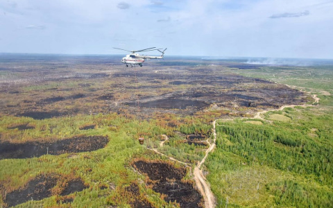 На тлеющие леса в Марий Эл сбросили за сутки 366 тонн воды