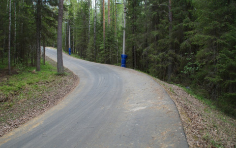 В Марий Эл вечером перекроют загородные трассы