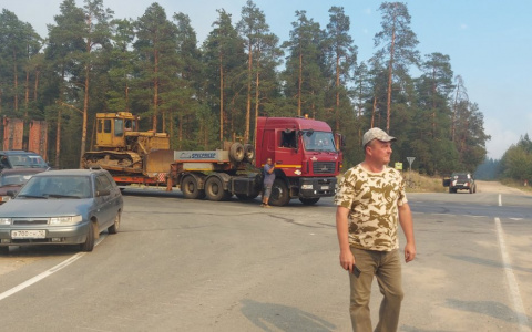 «Как же это грустно!»: известно, когда будут восстанавливать сгоревшие леса Марий Эл