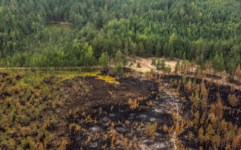 «Да что же это такое!»: в Марий Эл вновь ожидается пожароопасность лесов