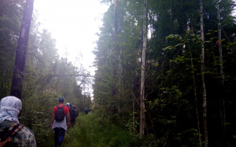 «Снимал процесс на камеру»: мужчину, которого подозревали в педофилии, нашли зарезанным в лесу