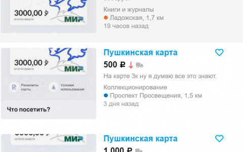 «Ничего, что она именная?»: йошкаролинцы возмущены продажей Пушкинских карт на сайтах объявлений