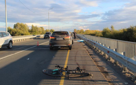 Появились подробности смертельного ДТП в Марий Эл с велосипедистом на трассе Вятка