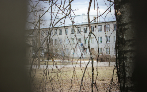 Главврача одной из больниц Марий Эл уличили в мошенничестве