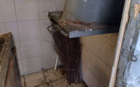 Как только земля таких носит: россиянка выбросила новорожденного ребенка в мусоропровод