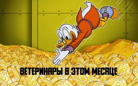 В этом месяце ветеринары получат на 5 тысяч больше