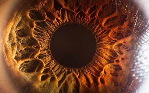 «Факт налицо или на глаз»: ученые научились по роговице определять последствия коронавируса