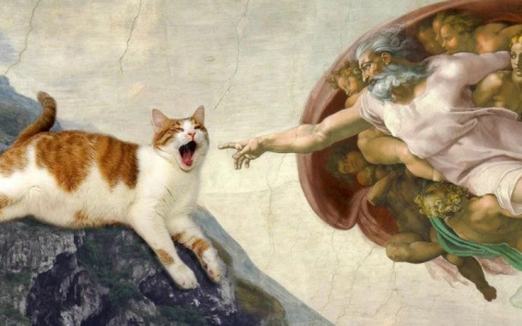 Узнайте, насколько хорошо вы разбираетесь в искусстве