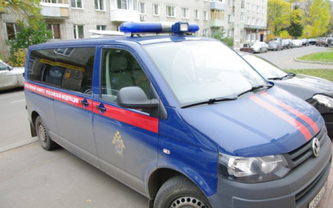 Следователи Йошкар-Олы начали проверку по факту гибели девушки, которая исчезла в середине лета