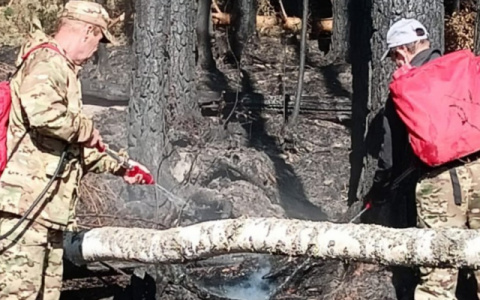 В МЧС сообщили о полной ликвидации пожара в Медведевском районе