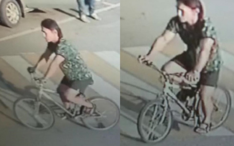 В Марий Эл разыскивают мужчину, который показывал член маленьким детям