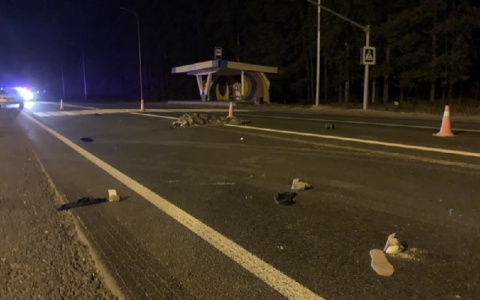 «Обувь и одежду разбросало по дороге»: в Марий Эл разыскивают виновника смертельного ДТП на Казанском тракте