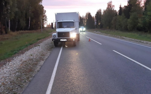 Надо покупать световозвращающую  одежду: в Марий Эл водитель газели сбил нетрезвого пешехода
