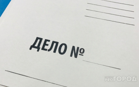 Житель Йошкар-Олы за полгода совершил около 20 краж и грабежей