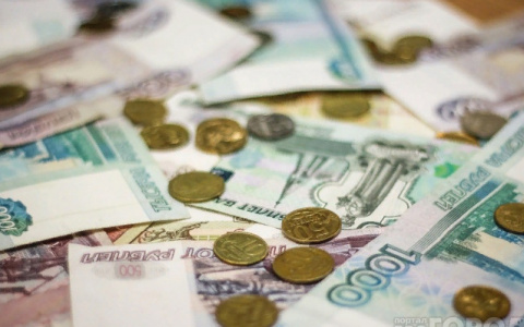 С 2022 года многодетные семьи Марий Эл могут подать заявление на выплаты