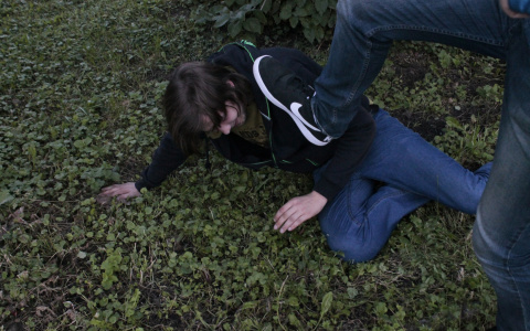 Йошкаролинец забил знакомого насмерть бутылкой и ногами