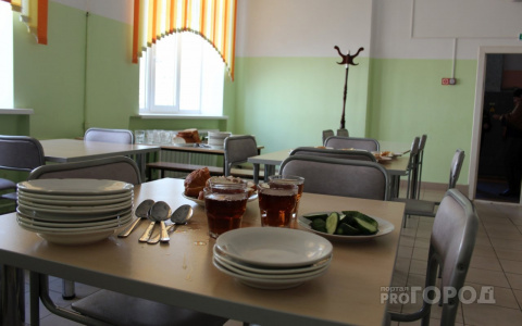 В школах Марий Эл введут новые правила питания