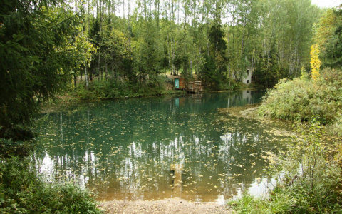 В одном из прудов Йошкар-Олы нашли тело человека