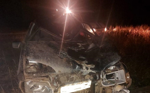 В Марий Эл на обочине дороги была найдена человеческая нога и велосипед