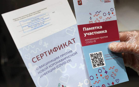 В нескольких регионах России начнет действовать система QR-кодов из-за коронавируса