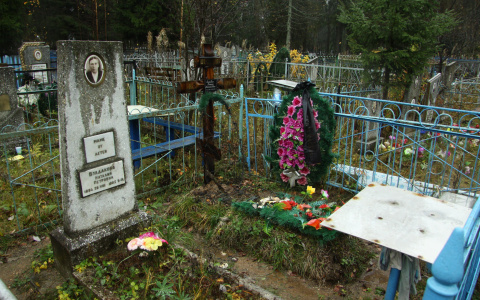 «Массовое вымирание?»: в Марий Эл с начала года скончалось больше 7 тысяч человек