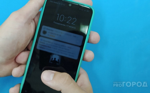 «Алло, это сотрудник банка»: в Марий Эл поймали мошенника, обманувшего 35 человек