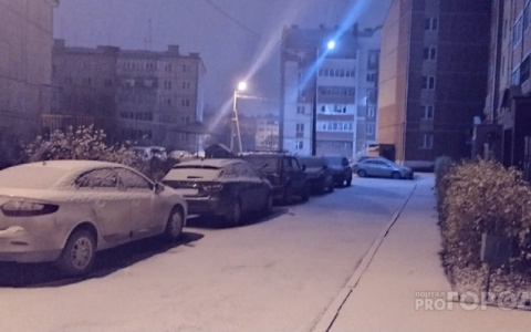 «Зима близко»: В Йошкар-Оле ожидаются первые заморозки