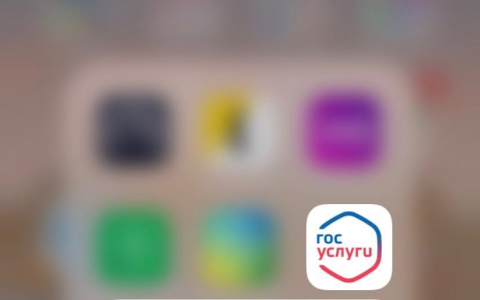 «А вы отправили заявку?» в Марий Эл завершается прием заявлений на выплату