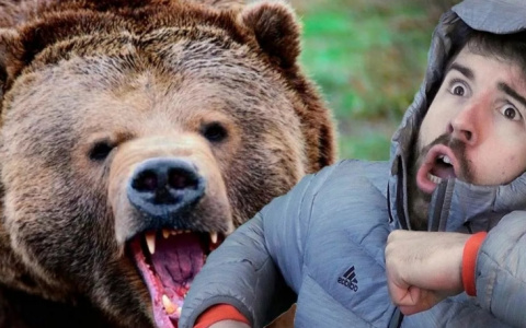 «Вот это встреча!»: мужчина заблудился в лесах Марий Эл и наткнулся на медведя