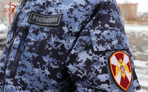 В Йошкар-Оле поймали беглого преступника