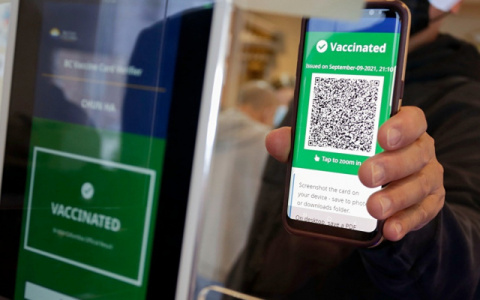 Несмотря на сбои "Госуслуг", QR-коды по-прежнему действуют год