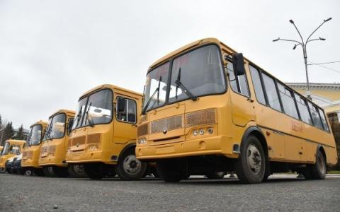 «Как в американских фильмах»: в Марий Эл появятся автобусы, развозящие школьников