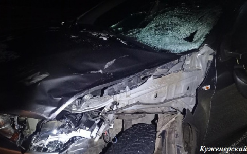 «Просто переходила дорогу»: в Марий Эл на Сернурском тракте сбили насмерть женщину