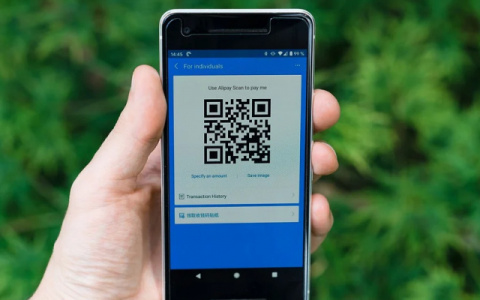 Правительство РФ решает вопрос о выдаче QR-кодов по уровню антител