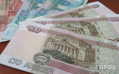 МРОТ и прожиточный минимум жителей Марий Эл вырастет почти на 10% в 2022 году